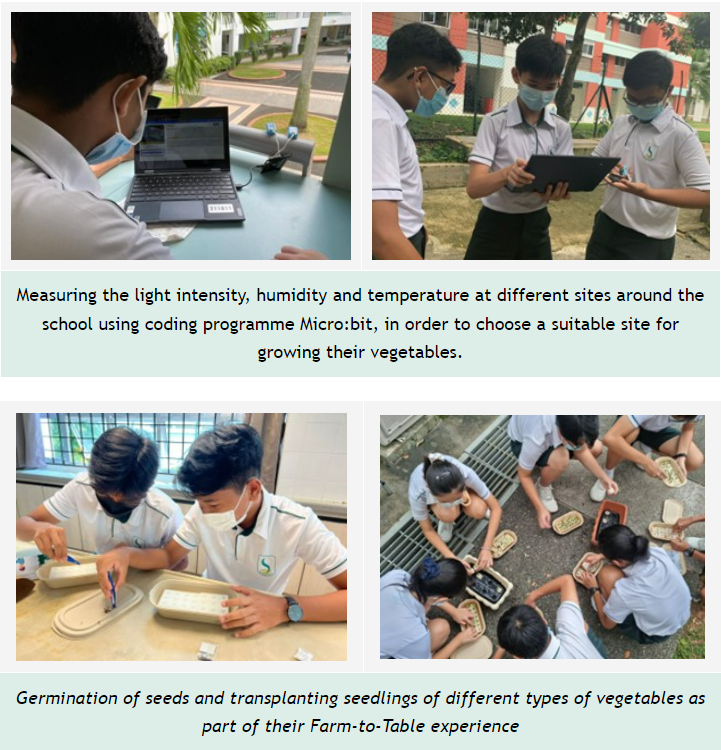 Students wearing masks use laptops and tablets outdoors, then plant seeds in trays for a Farm-to-Table school project.